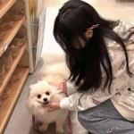 奇迹联盟手游下载